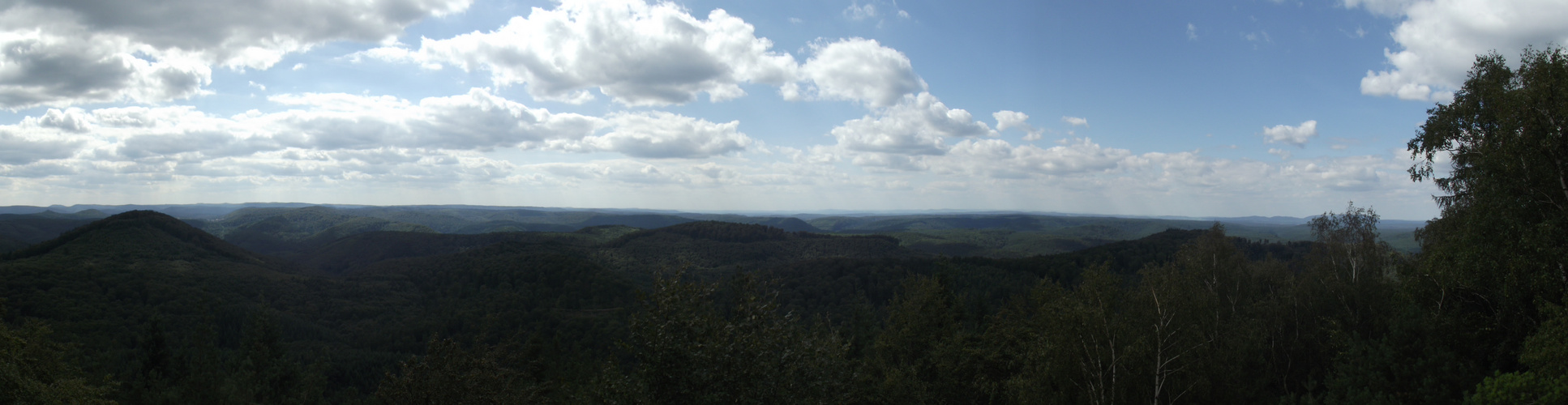 Pfälzer Wald,