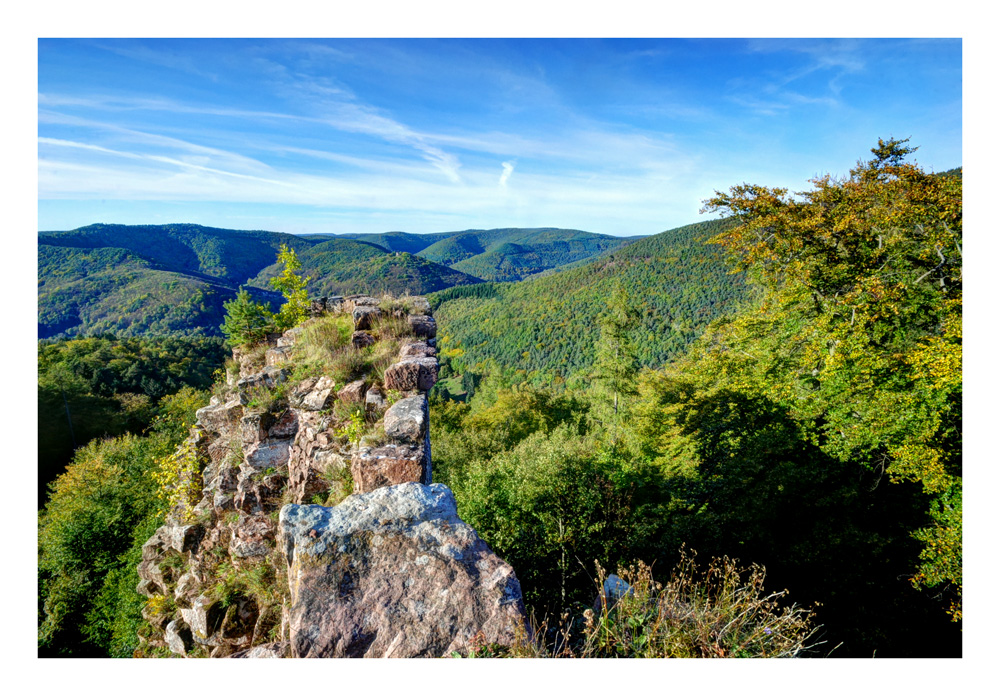 Pfälzer Wald Foto &amp; Bild | landschaft, wald, pfalz Bilder auf fotocommunity