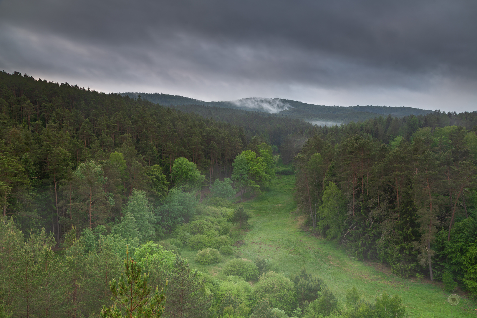 Pfälzer Wald