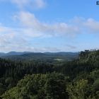 Pfälzer Wald am Tag