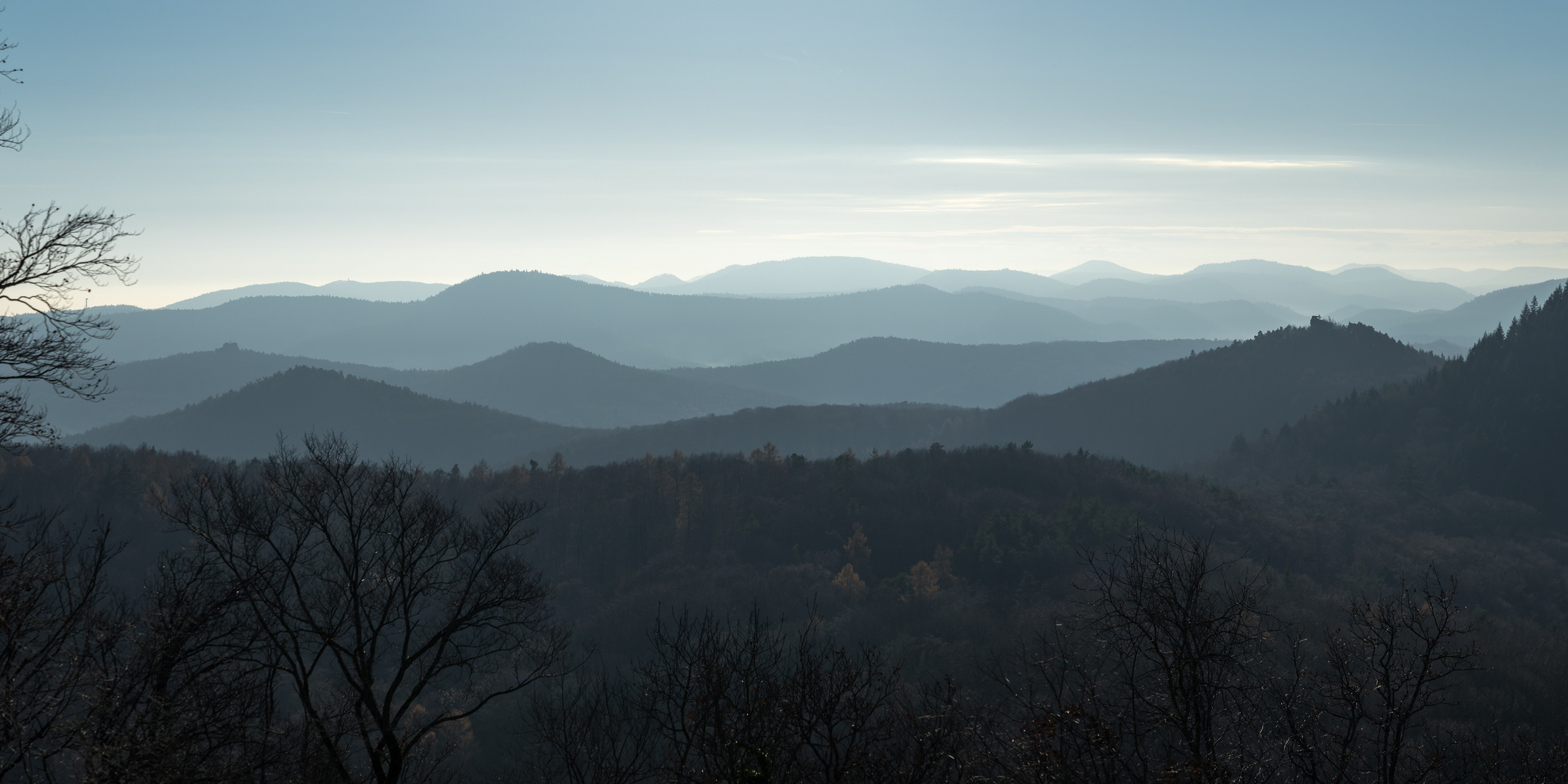 Pfälzer Wald