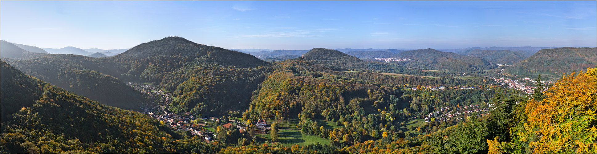 Pfälzer Wald