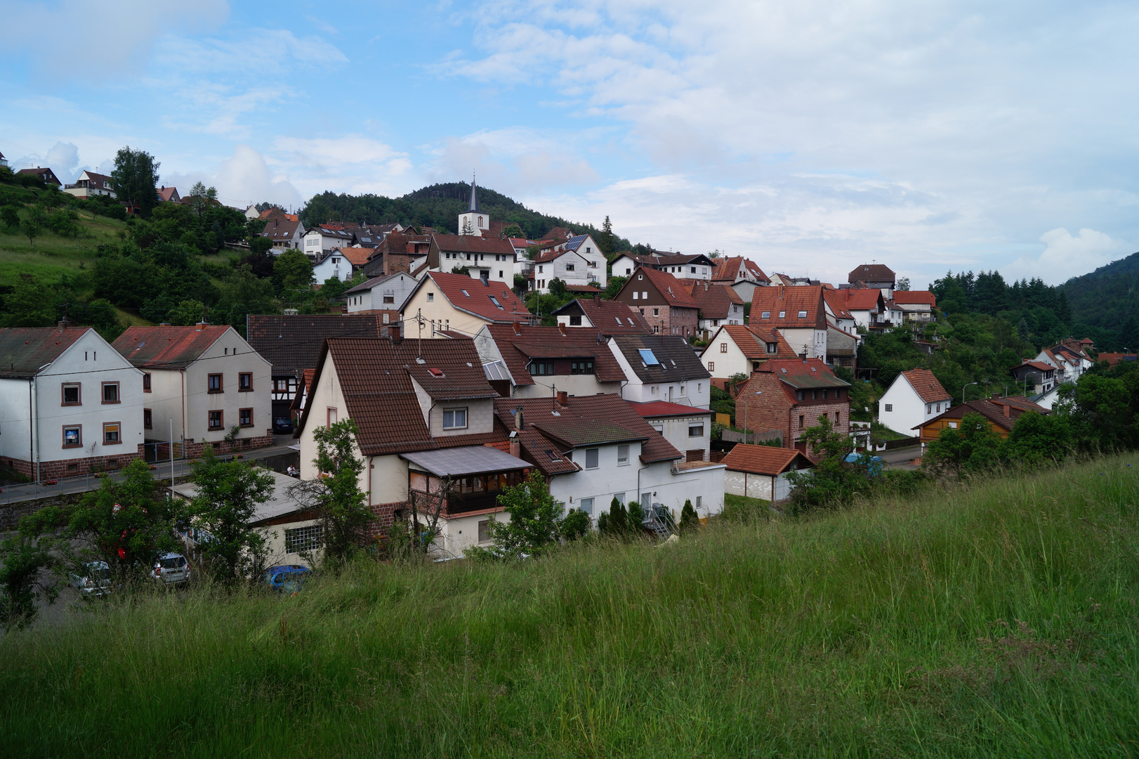 Pfälzer Wald Elmstein 