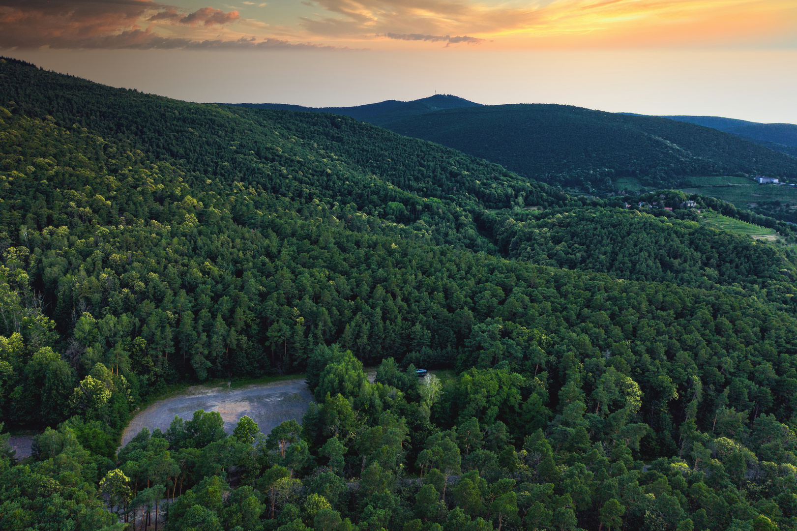 Pfälzer Wald