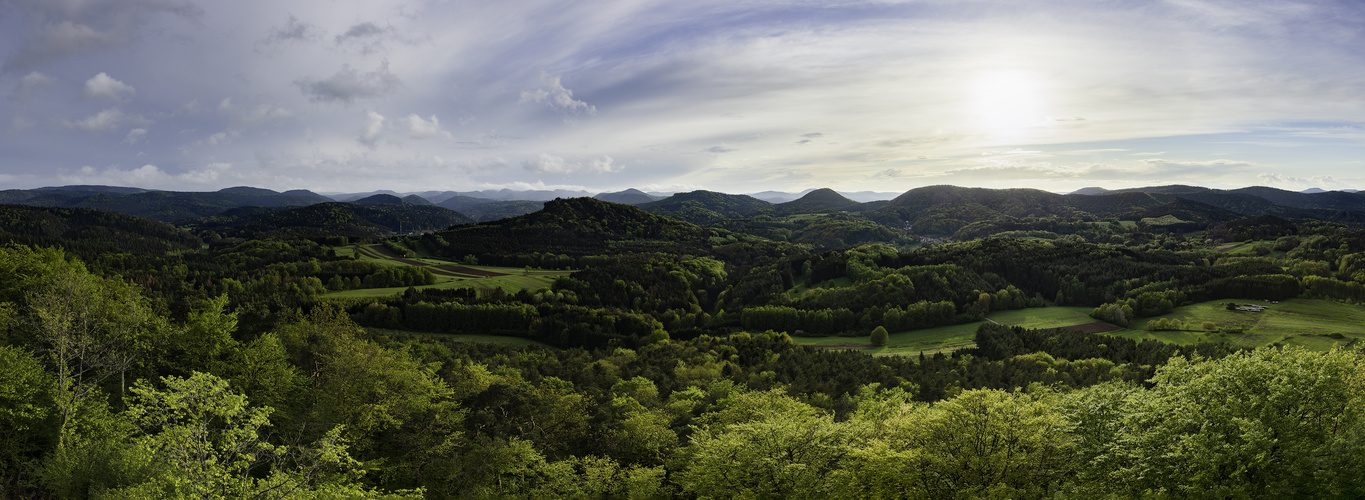 Pfälzer Wald im Frühling