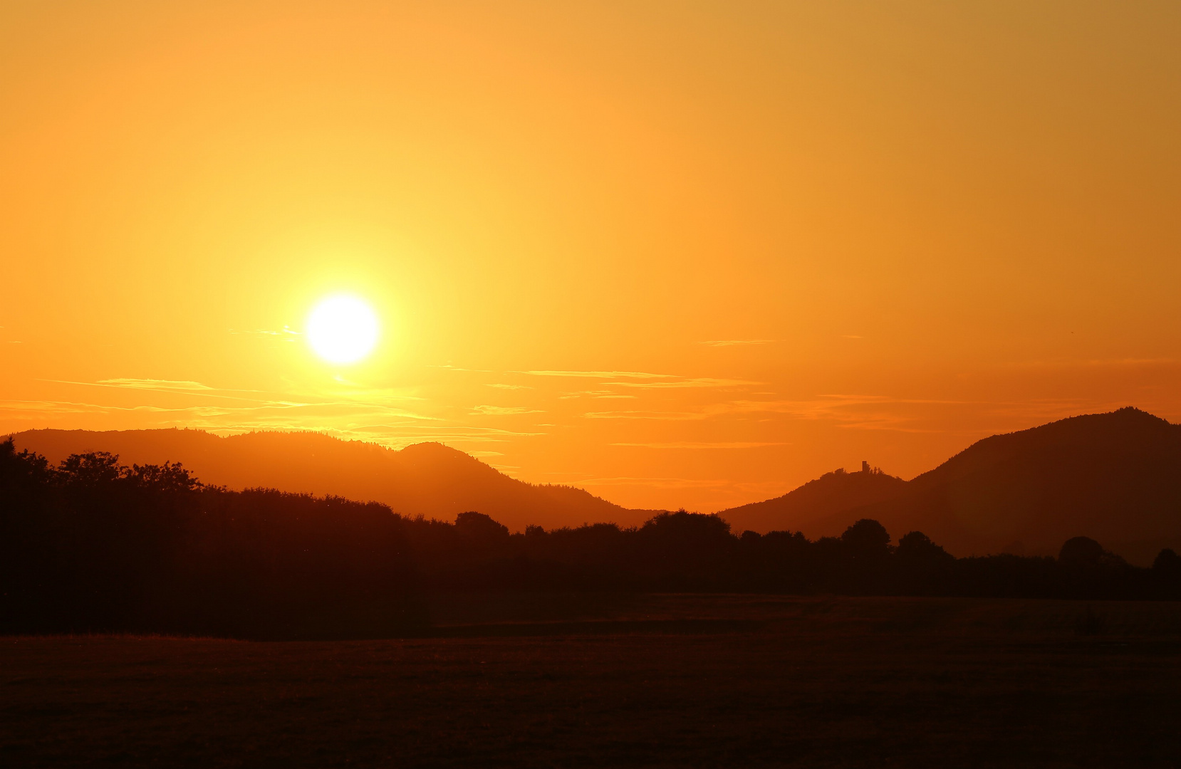 Pfälzer Wald im Sonnenuntergang