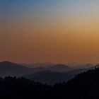 Pfälzer Wald in der Abenddämmerung