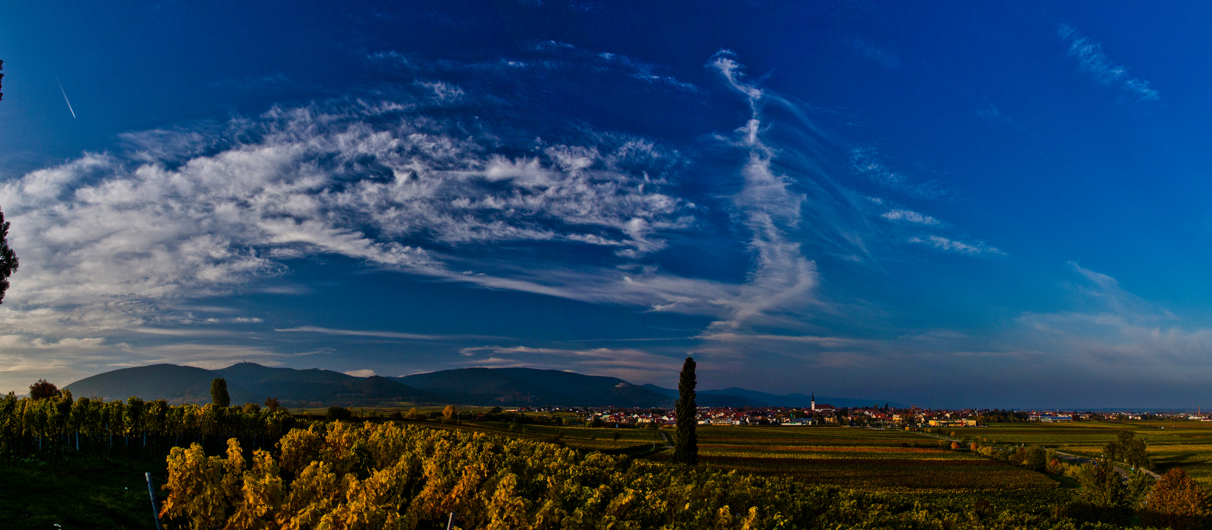 Pfälzer Weinberge im Herbst