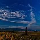 Pfälzer Weinberge im Herbst