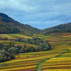 Pfälzer Weinberge im Herbst von der Kleinen Kalmit aus gesehen