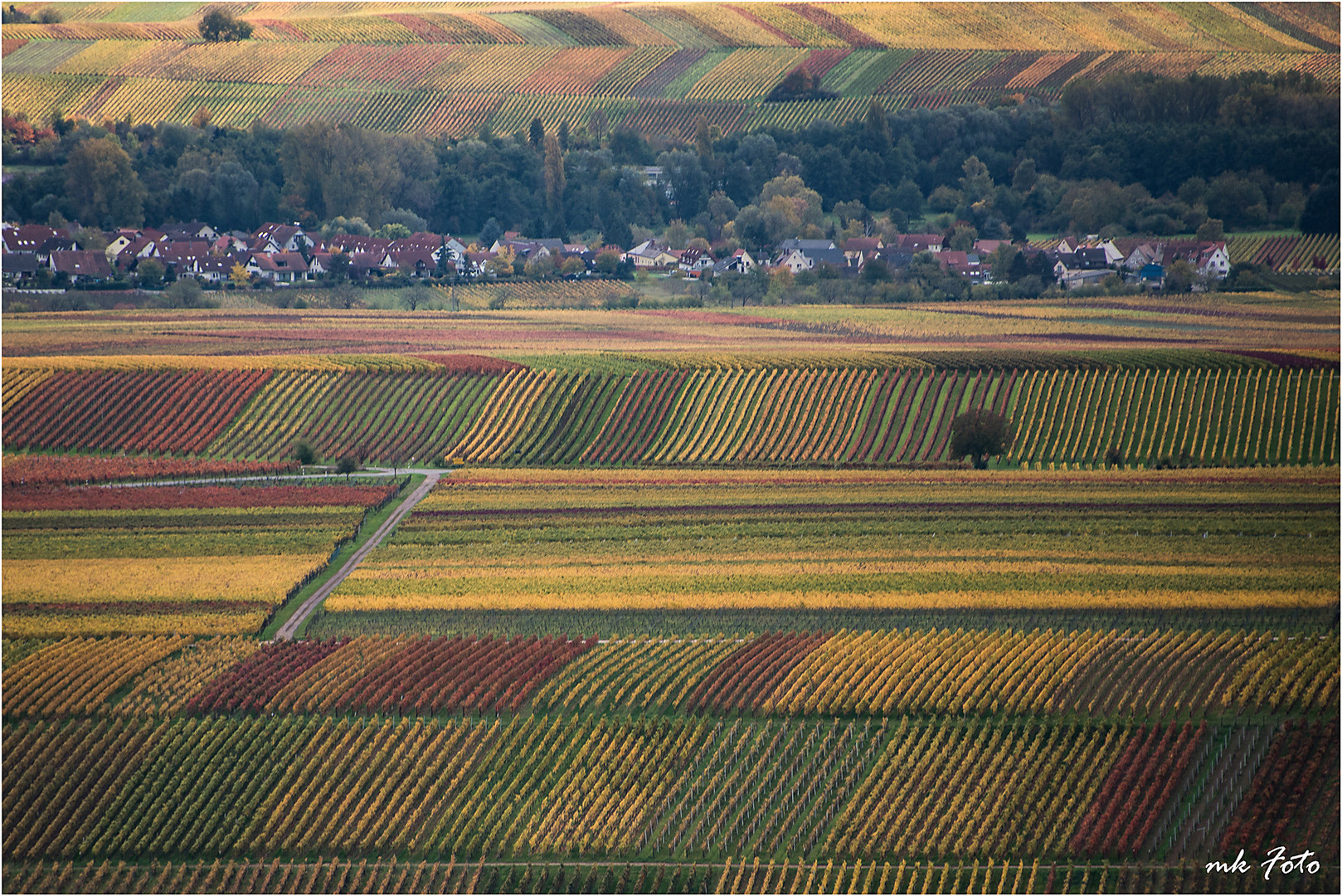 Pfälzer Weinherbst