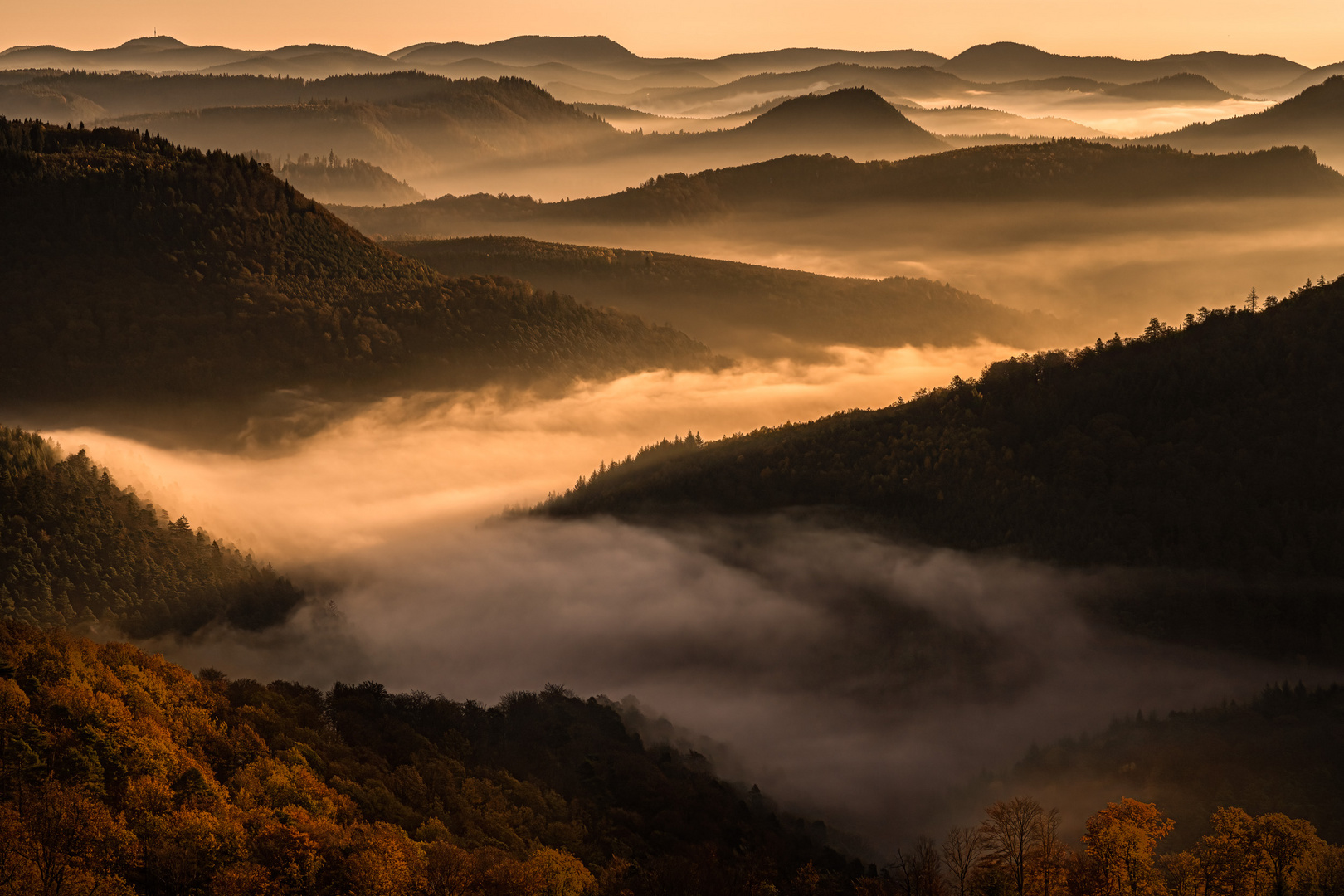 Pfälzerwald beim Sonnenaufgang