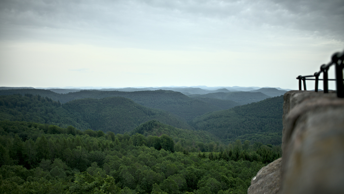 Pfälzerwald-Blick vom Luitpoldturm