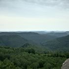 Pfälzerwald-Blick vom Luitpoldturm