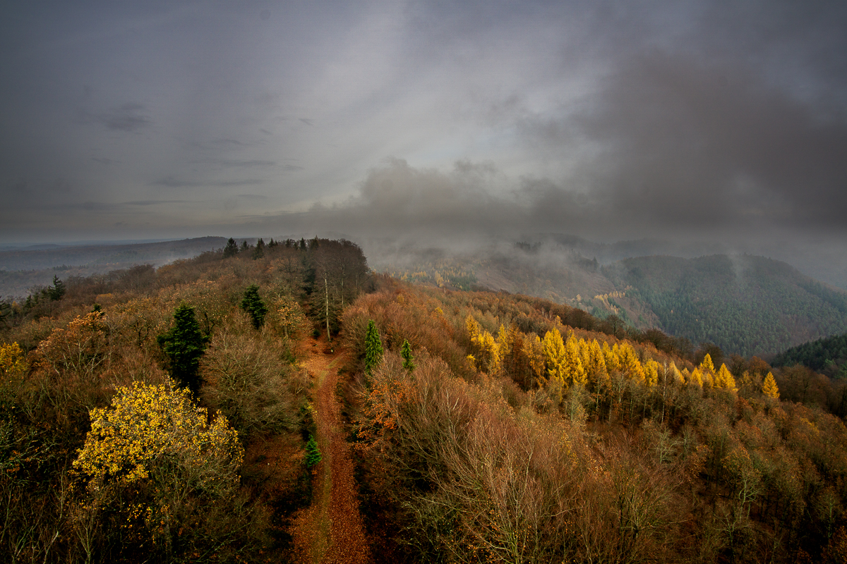 Pfälzerwald: Blick vom Luitpoldturm