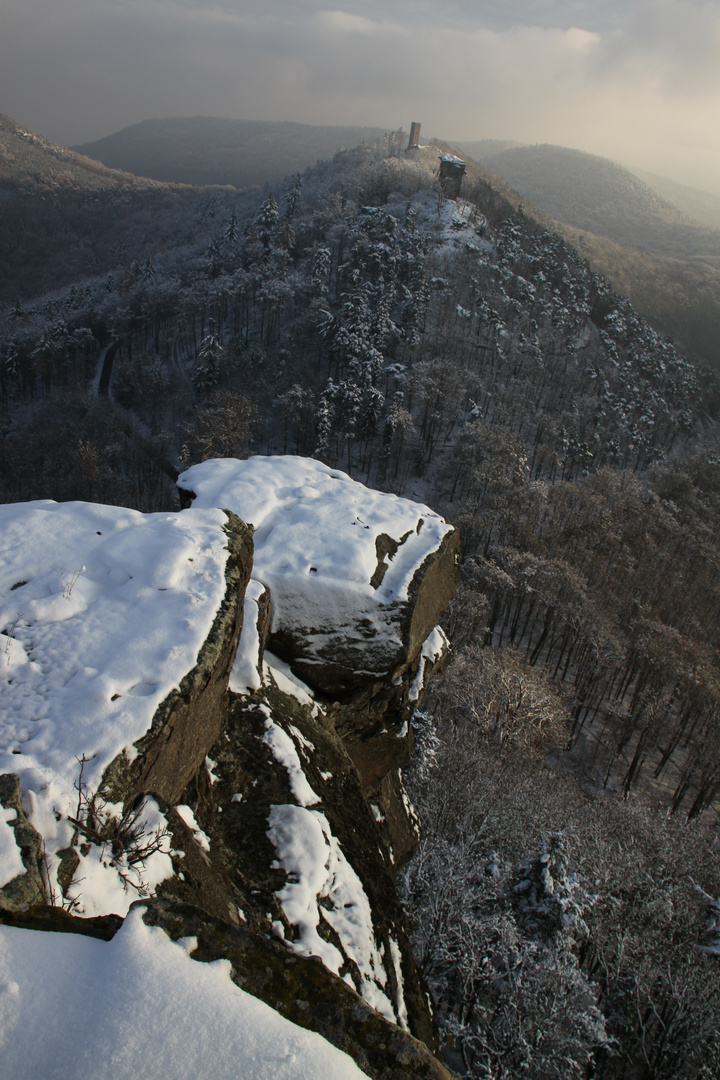 Pfälzerwald