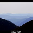 Pfälzerwald