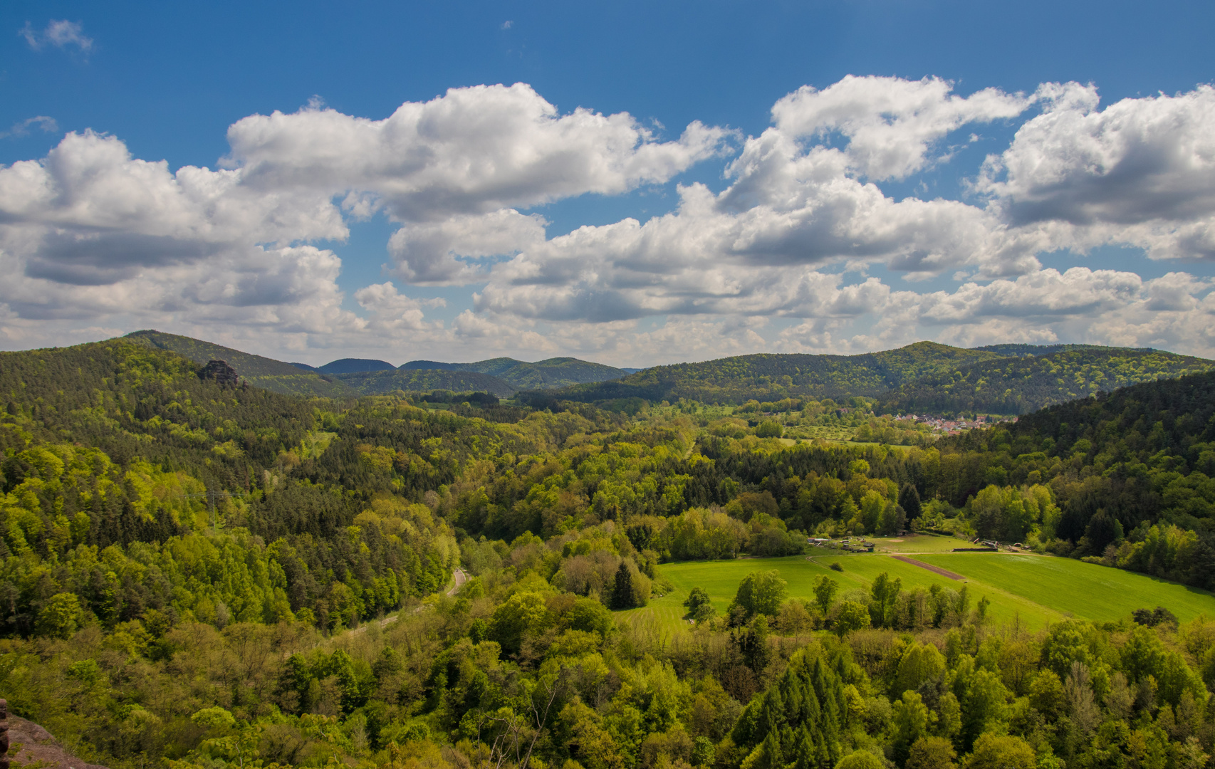 Pfälzerwald im Frühling