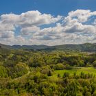 Pfälzerwald im Frühling