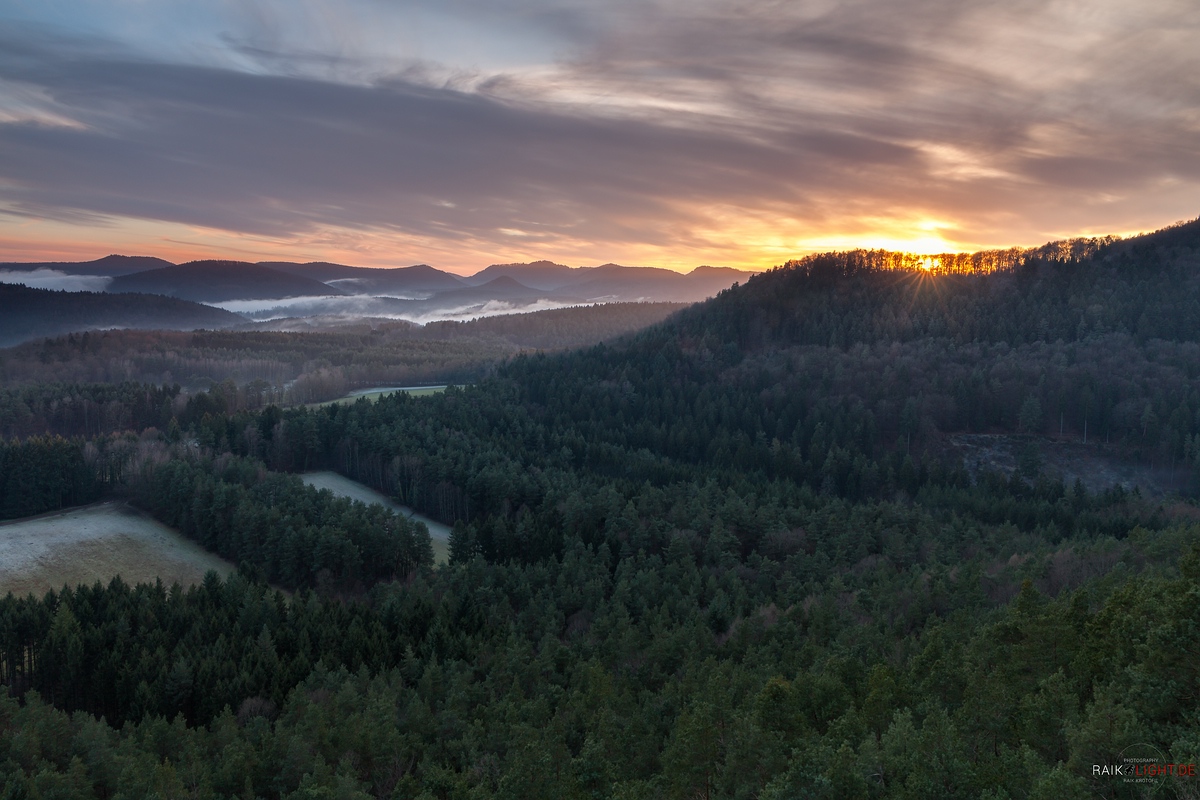 Pfälzerwald im Januar