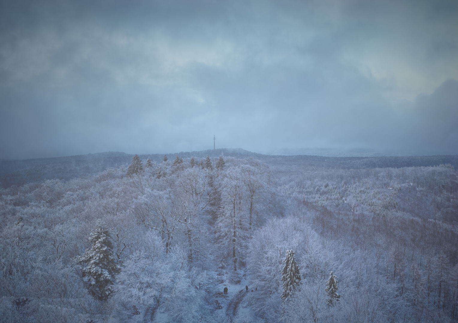 Pfälzerwald im Schneekleid