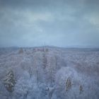 Pfälzerwald im Schneekleid