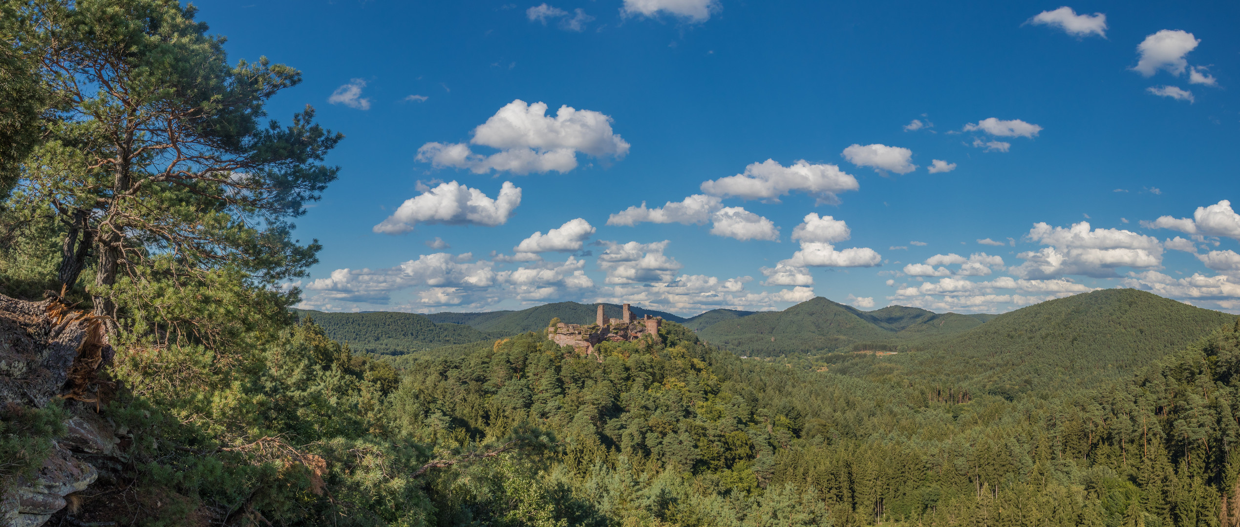 Pfälzerwald pur !