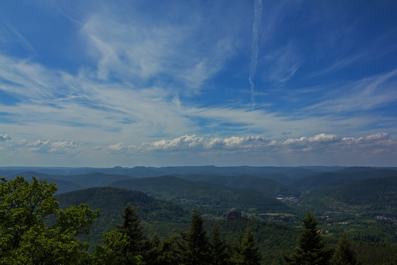 Pfälzerwaldblick