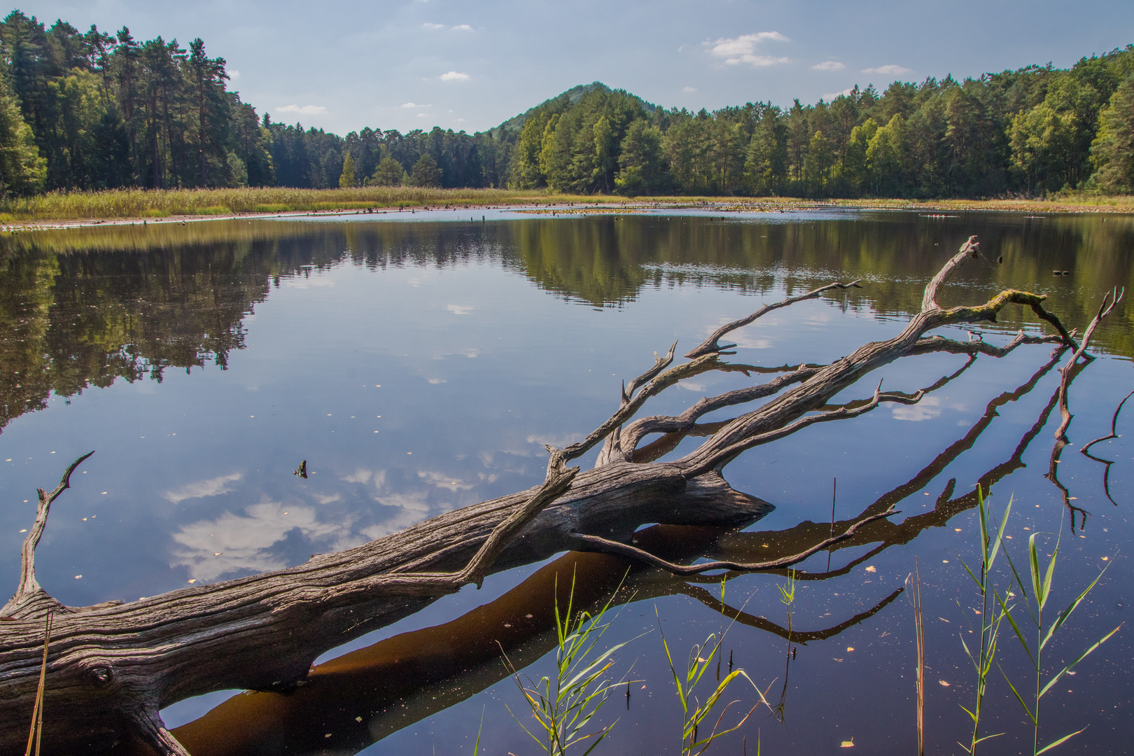 Pfälzerwoog bei Ludwigswinkel