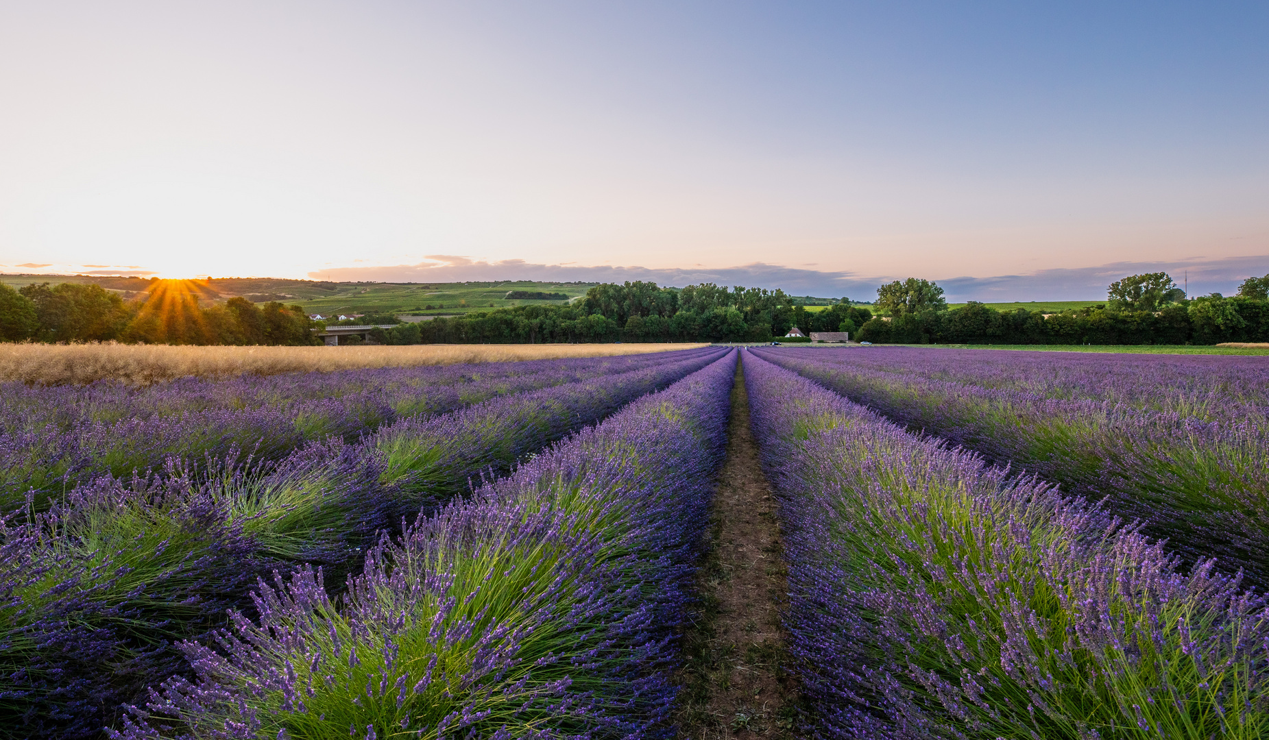 Pfälzische Provence