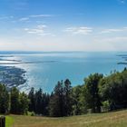 Pfänder am Bodensee