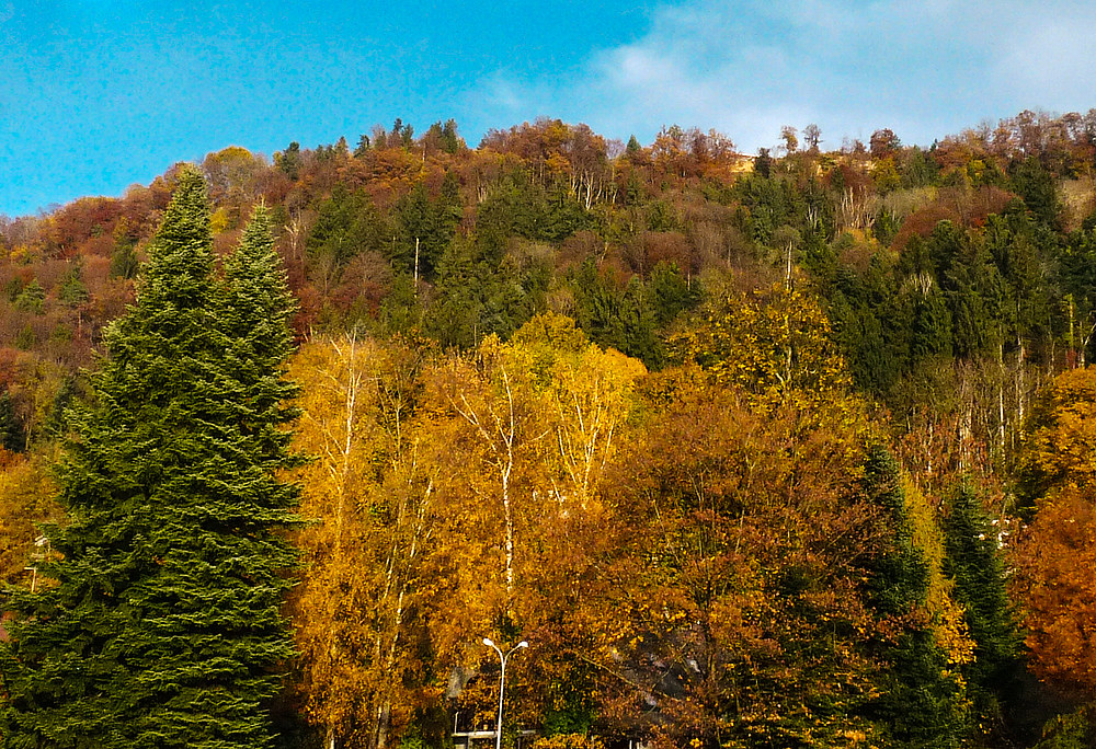 Pfänder bei Bregenz im Herbst