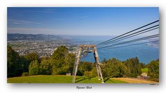 Pfänder-Blick