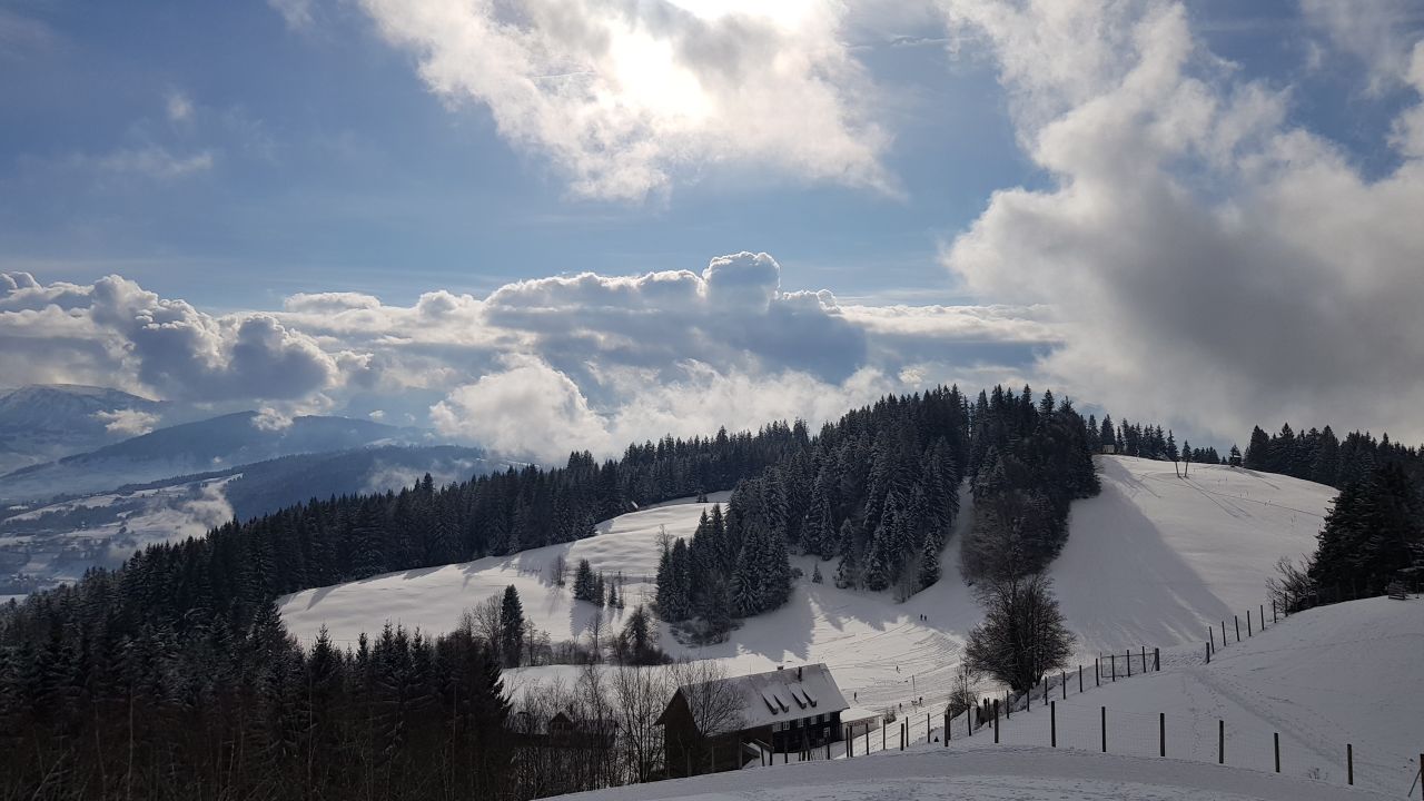 Pfänder Bodensee 