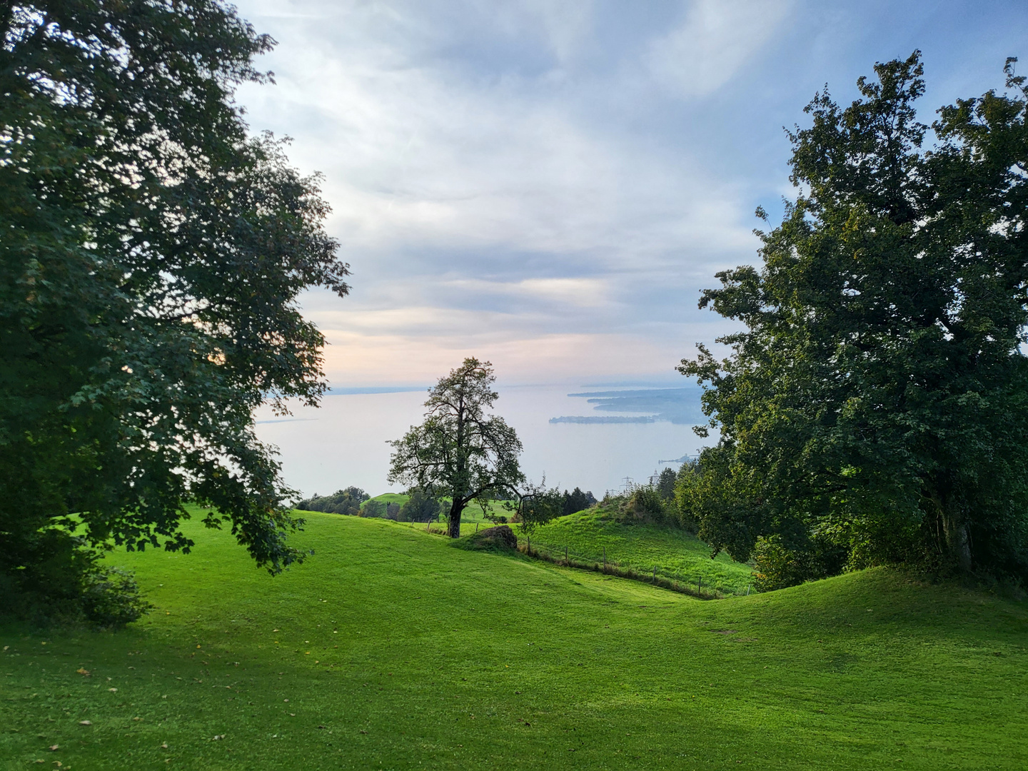 Pfänderblick auf Bodensee