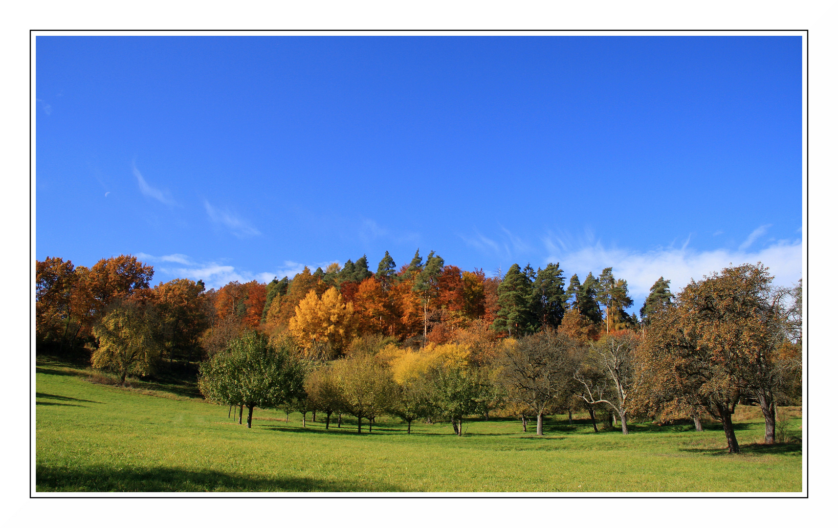 Pfaffenberg bei Wendelsheim im Herbst