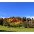 Pfaffenberg bei Wendelsheim im Herbst