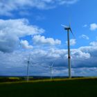 Pfaffengrüner Windräder/Nordvogtland.