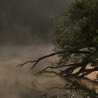 Pfaffensee bei Stuttgart, Nebel zum Sonnenaufgang I