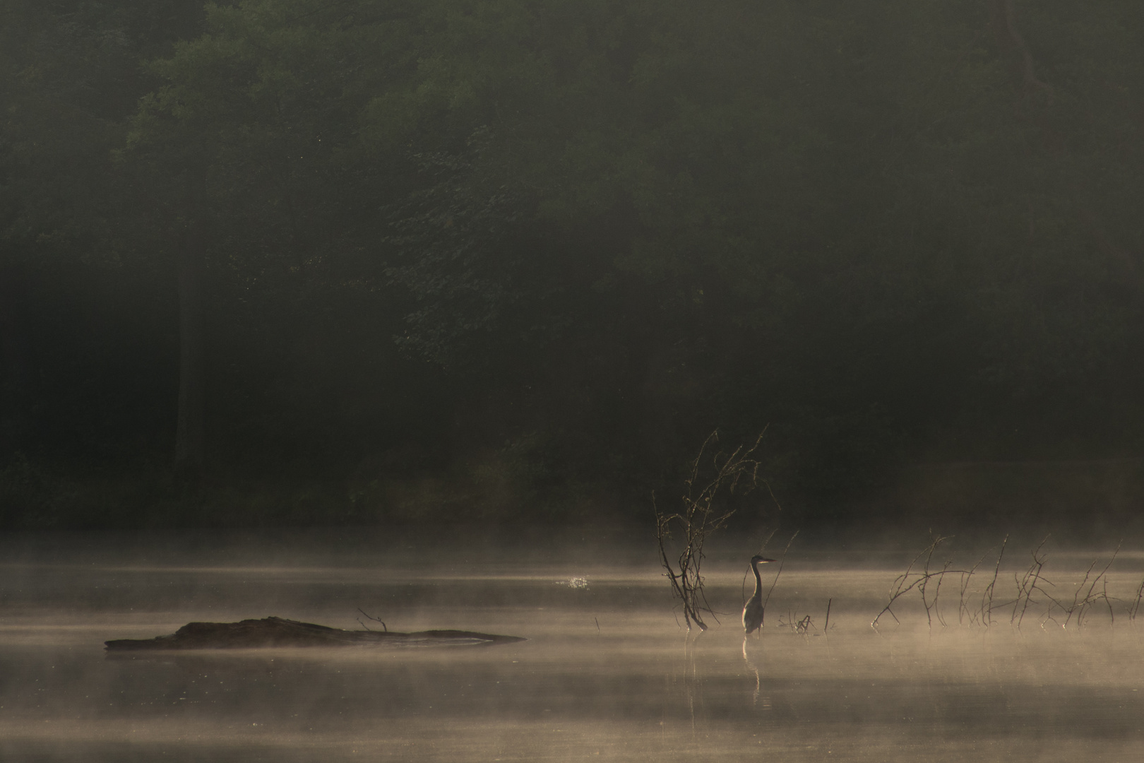 Pfaffensee bei Stuttgart, Nebel zum Sonnenaufgang III