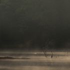 Pfaffensee bei Stuttgart, Nebel zum Sonnenaufgang III