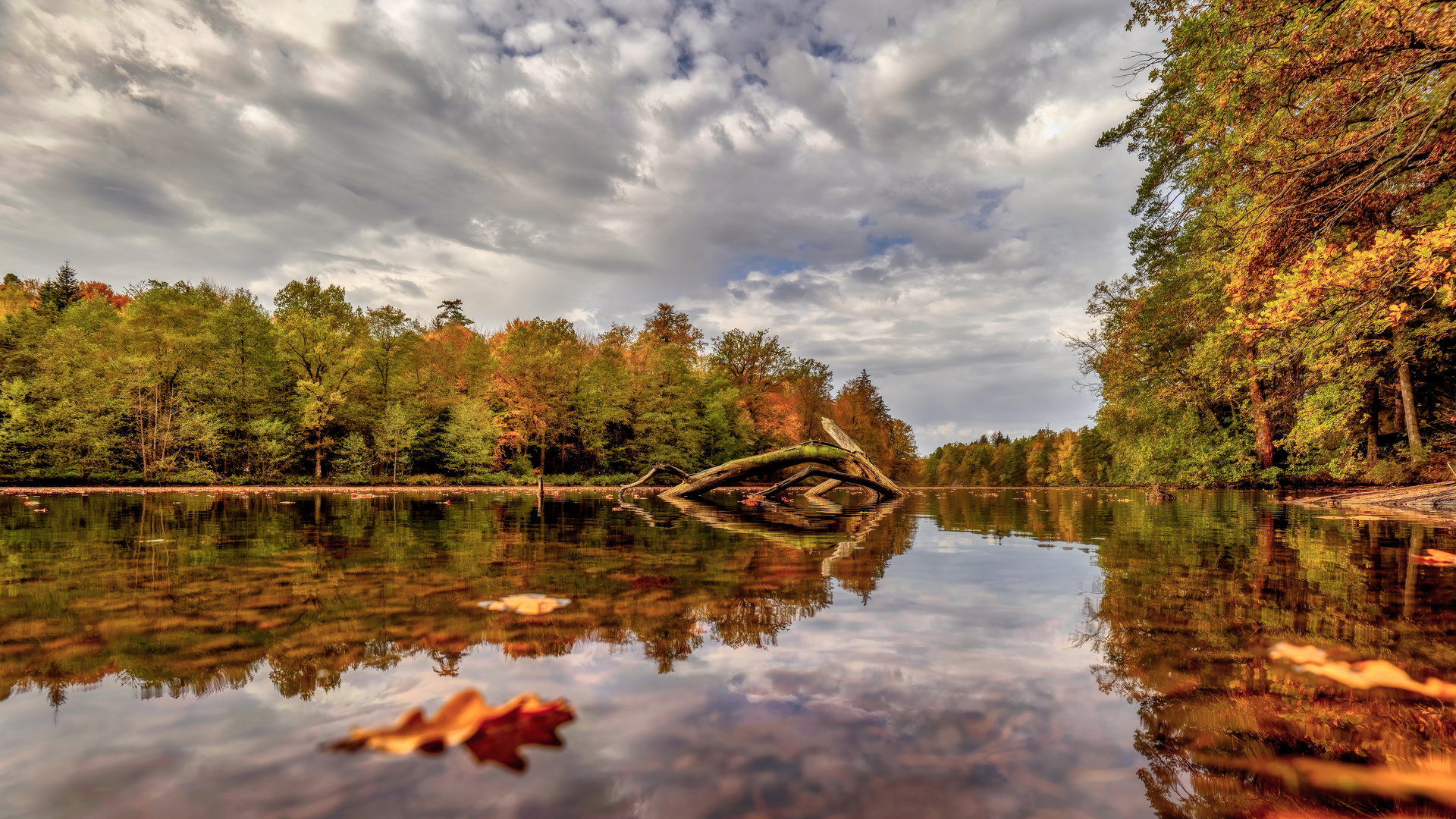 Pfaffensee im Herbst