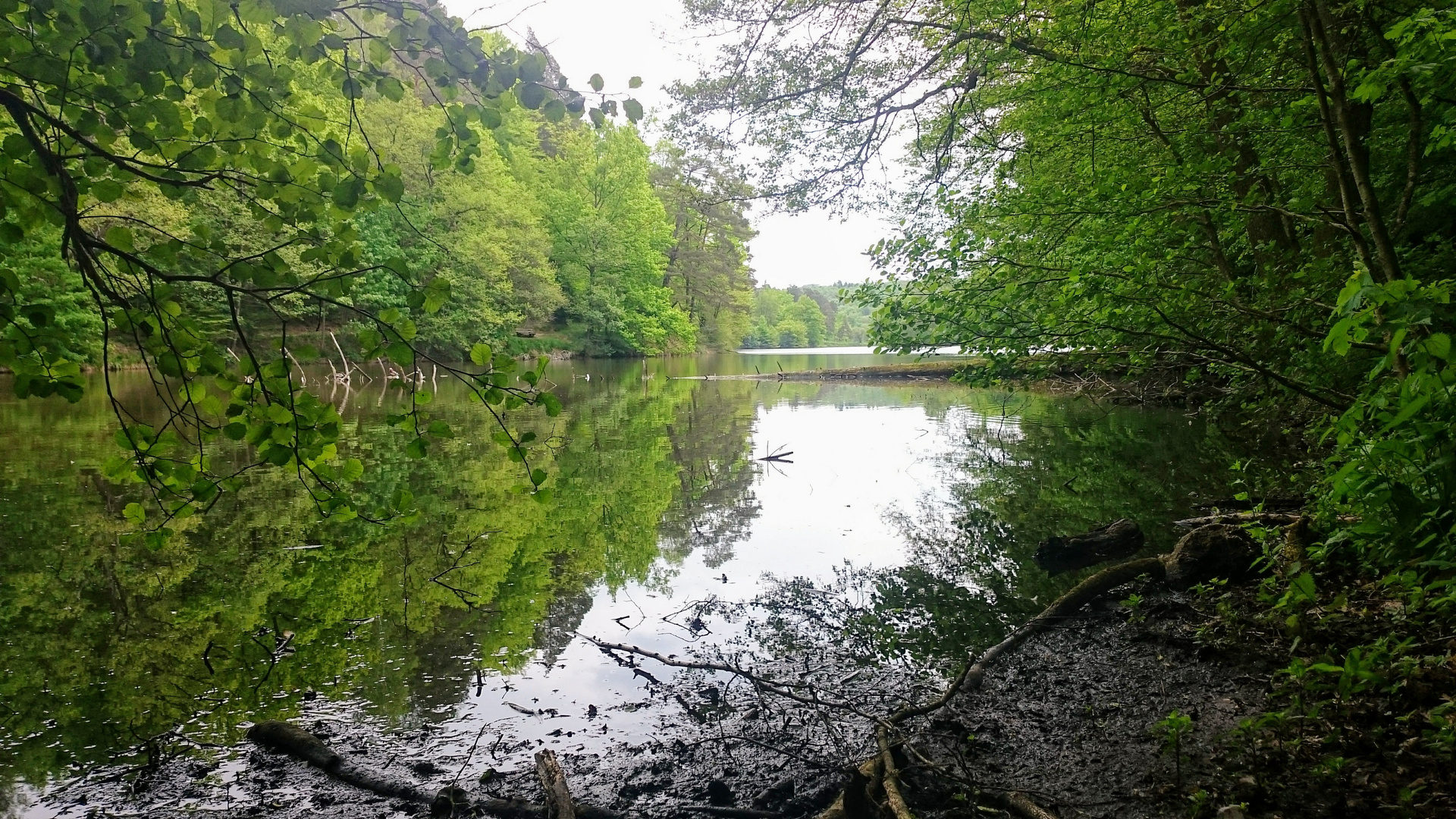 Pfaffensee - Stuttgart - 24.5.2017