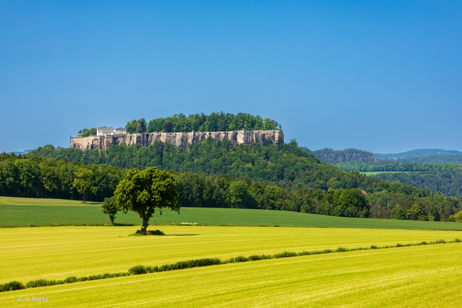 Pfaffenstein - Blick auf Festung Königstein (01)_05/2023