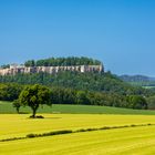 Pfaffenstein - Blick auf Festung Königstein (01)_05/2023