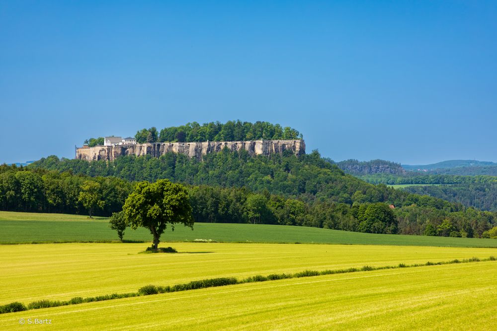 Pfaffenstein - Blick auf Festung Königstein (01)_05/2023