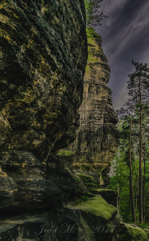 Pfaffenstein -- Neben dem Weg nach oben