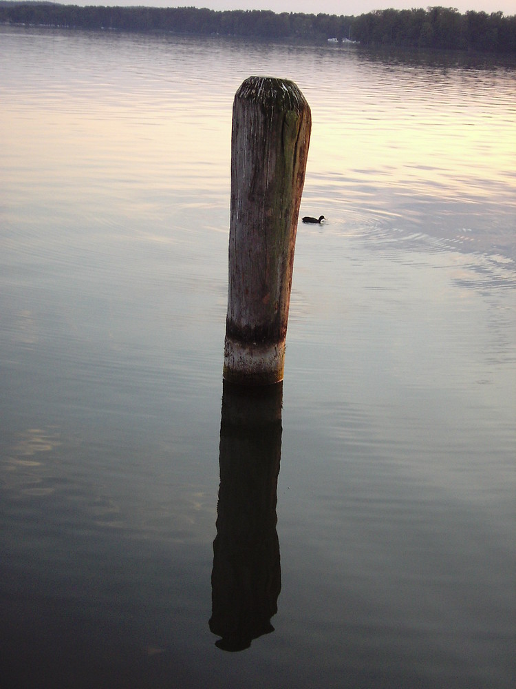 Pfahl im Wasser