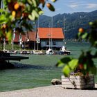 Pfahlbauten am Alpsee