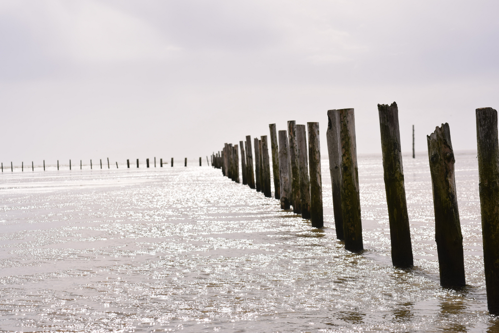 Pfahlbauten an der Nordsee